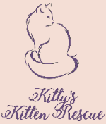 Kitty's Kitten Rescue